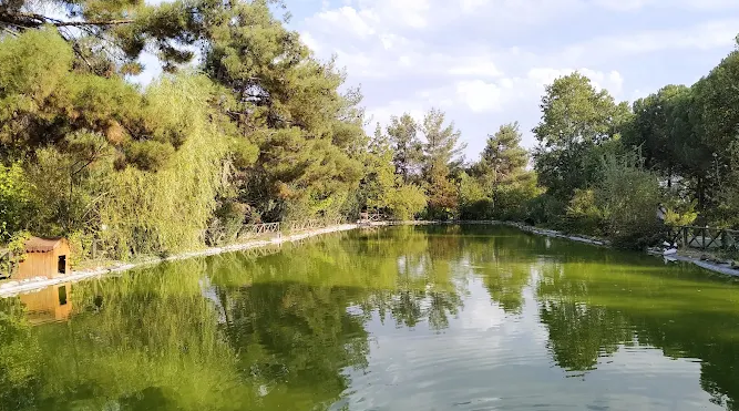 Kapıçam Tabiat Parkı’nda Yeşil Dokusuyla Huzur ve Eğlence Bir Arada