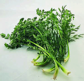 Kahramanmaraşlılar Bile Bu Otu Çok Bilmiyor! Vücuttaki Tüm Toksinleri Söküp Atıyor! (1)-1