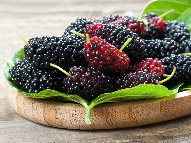 Kahramanmaraş'ta Beyaz Ve Siyah İnciler Tezgahlarda (1)-1