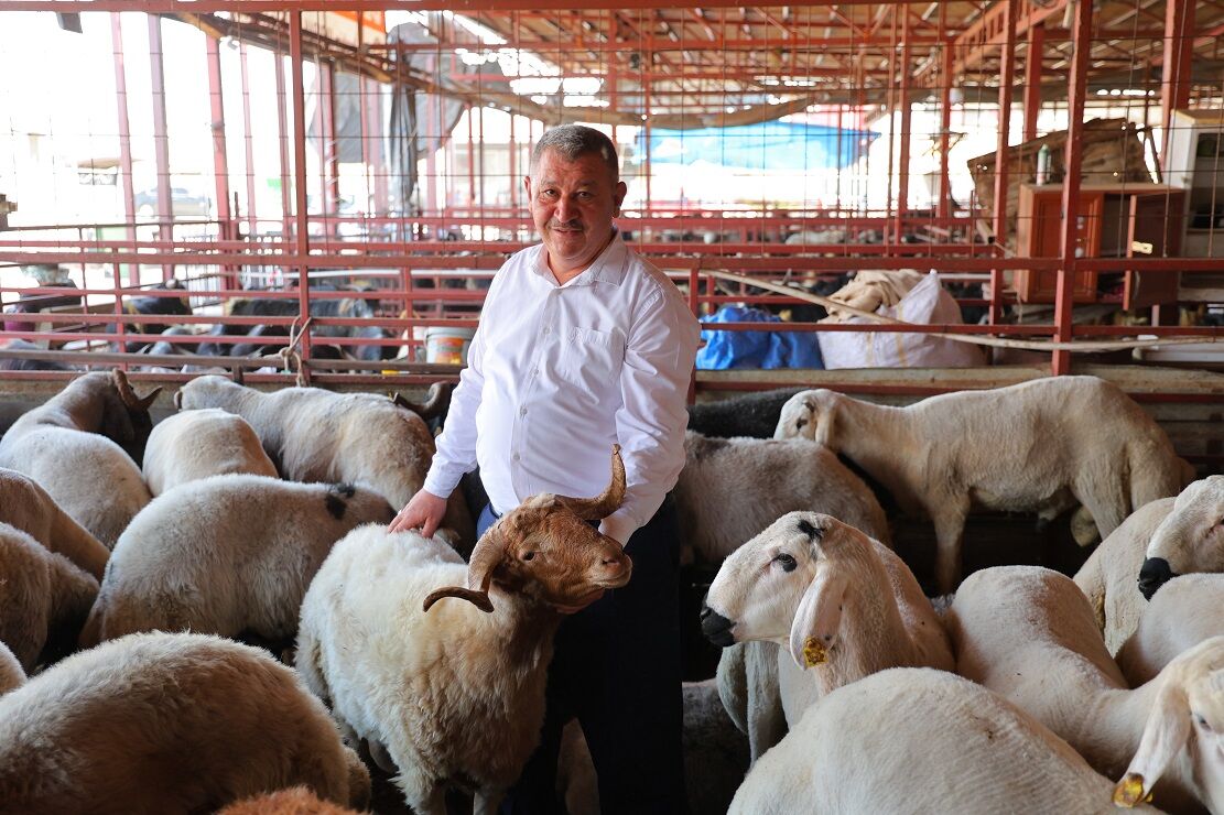 Kahramanmaraş’ta Kurbanlık Satışları Başladı, Fiyatlar Diğer İllere Göre Ucuz (1)-1