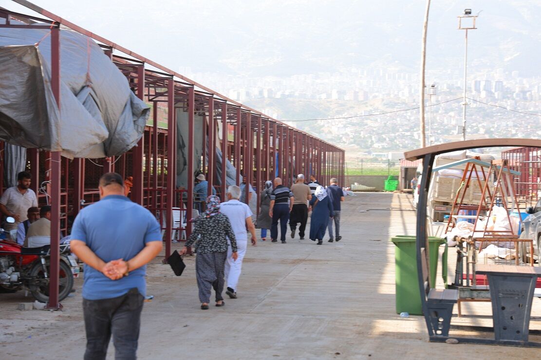 Kahramanmaraş’ta Kurbanlık Satışları Başladı, Fiyatlar Diğer İllere Göre Ucuz (5)