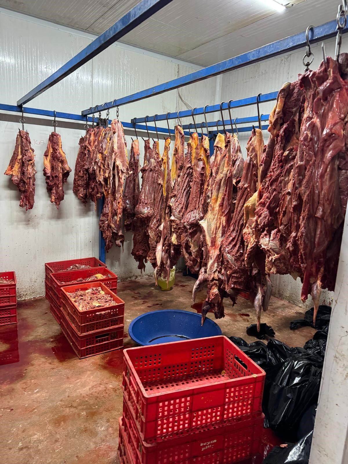 Mide Bulandıran Operasyon 3 Ton Bozuk At Ve Eşek Eti Ele Geçirildi (1)