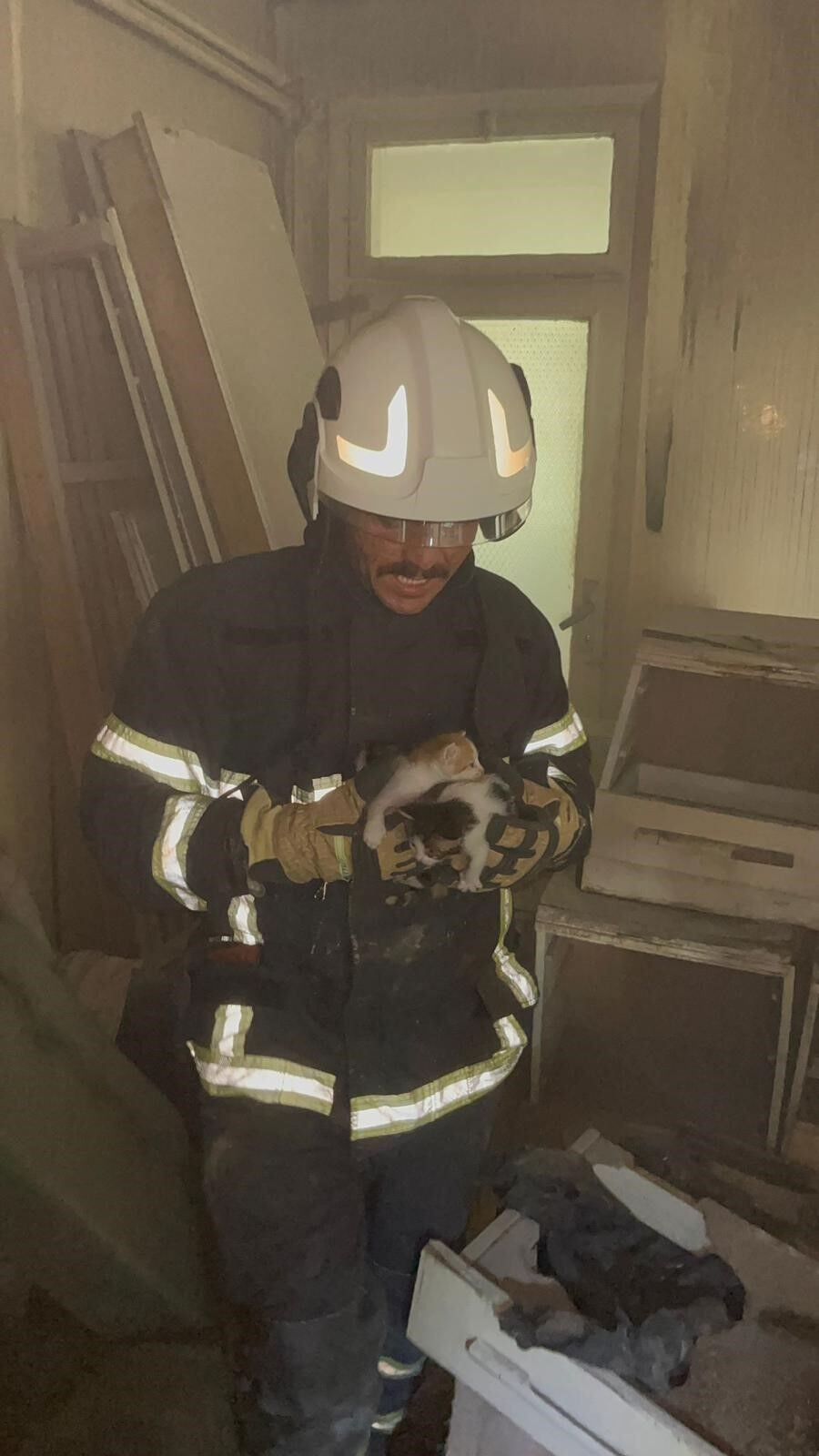 Miyavlamaları Hayat Kurtardı Alevlerin Arasında Mahsur Kalan Yavru Kediler Kurtarıldı (1)-1