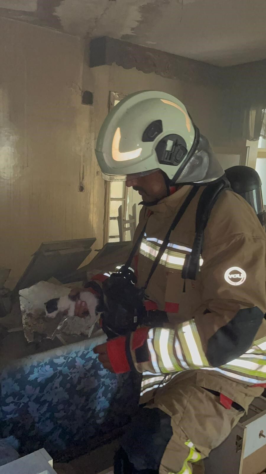 Miyavlamaları Hayat Kurtardı Alevlerin Arasında Mahsur Kalan Yavru Kediler Kurtarıldı (2)