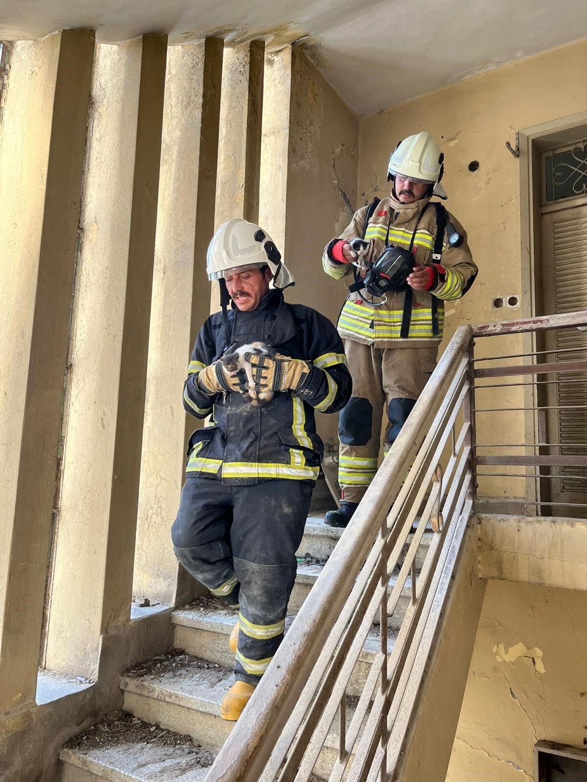 Miyavlamaları Hayat Kurtardı Alevlerin Arasında Mahsur Kalan Yavru Kediler Kurtarıldı (4)