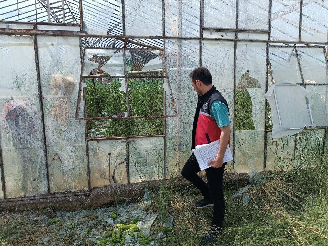 Serik’te Dolu Felaketi Tarım Arazilerini Vurdu Hasar Tespiti Başladı (4)