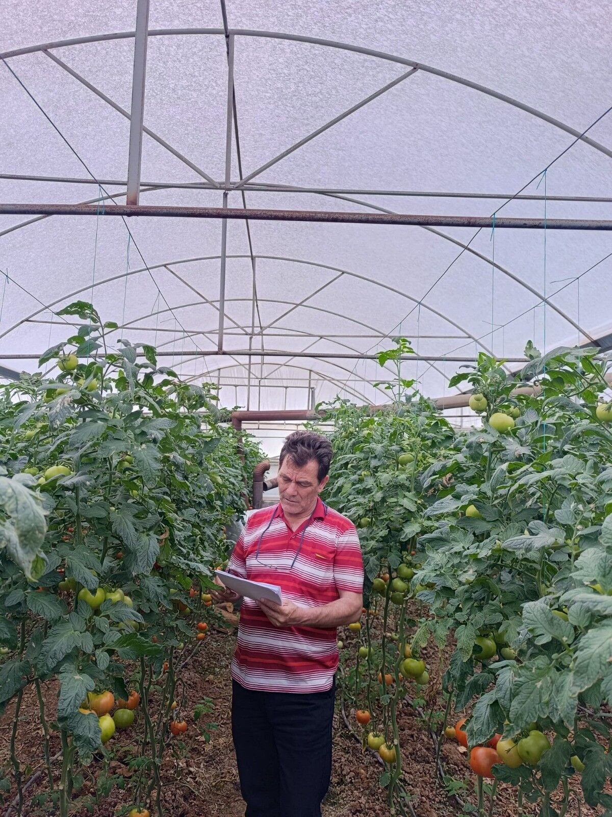 Serik’te Dolu Felaketi Tarım Arazilerini Vurdu Hasar Tespiti Başladı (6)