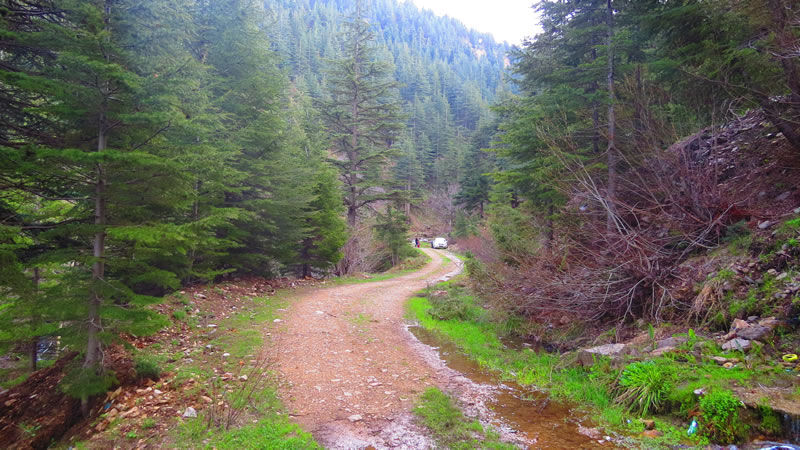 Yavşan Yaylası Tabiat Parkı Kahramanmaraş’ın Doğa Harikası (2)-1