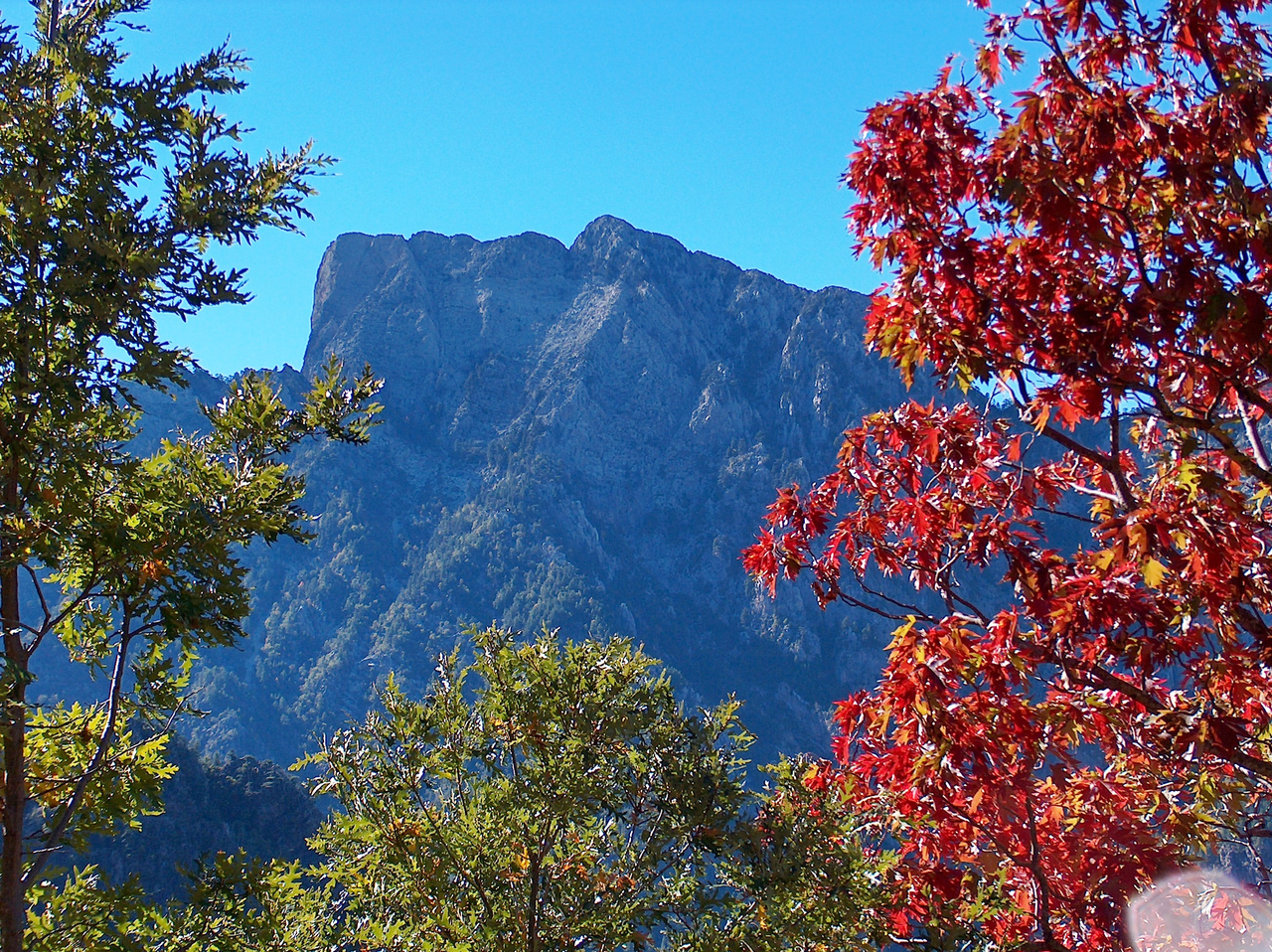 Yavşan Yaylası Tabiat Parkı Kahramanmaraş’ın Doğa Harikası (2)