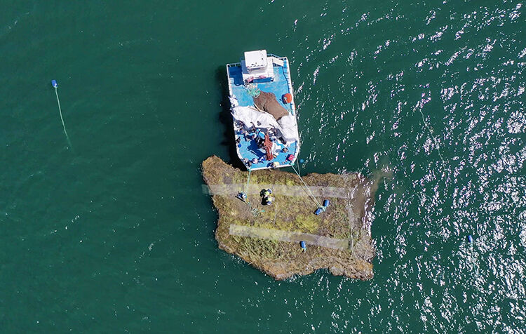 Adıyaman Çat Barajı’nda Yüzen Adalar Sabitleme Projesinde İlk Adım Başarıyla Atıldı (3)