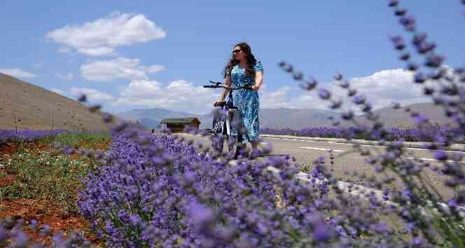 Afşin’de 400 Dekarlık Lavanta Bahçesi Ziyaretçi Akınına Uğruyor! (4)