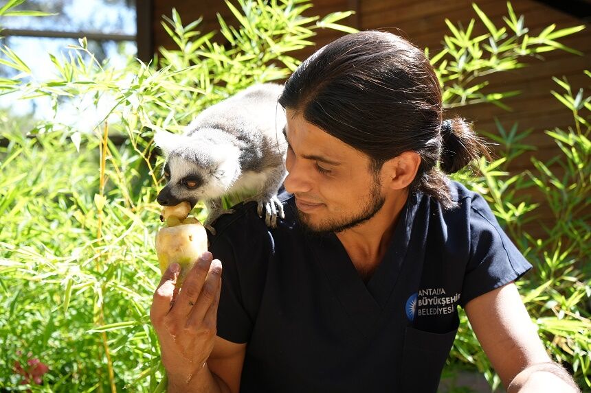 Antalya Doğal Yaşam Parkı’nda Sıcaktan Etkilenen Hayvanlara Buzlu Meyve Kokteyli İkramı (2)
