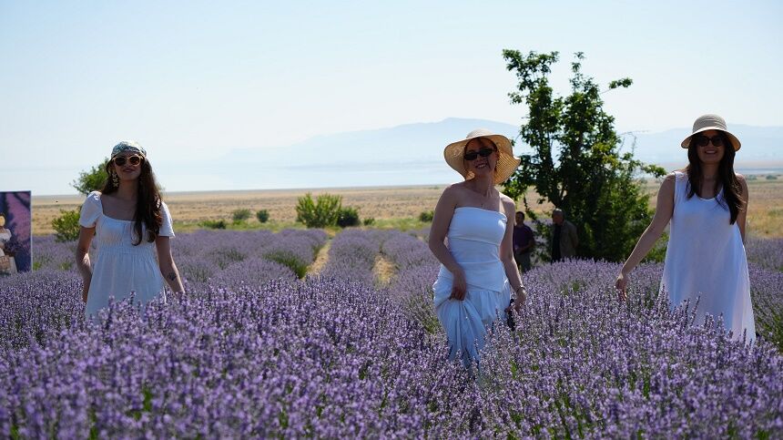 Burdur’da Lavanta Festivaliyle Mor Şölen Başladı Hasat Ve Sanat Günleri Görsel Ziyafet Sunuyor