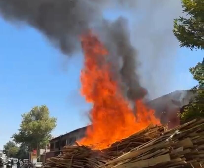 F2D4D474 2A29 4E02 8349 61699E5F76Bc