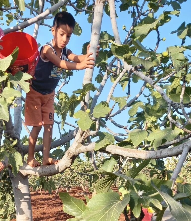 Gaziantep’te 10 Yaşındaki Otizmli Onurcan 10 Gündür Kayıp (1)-1