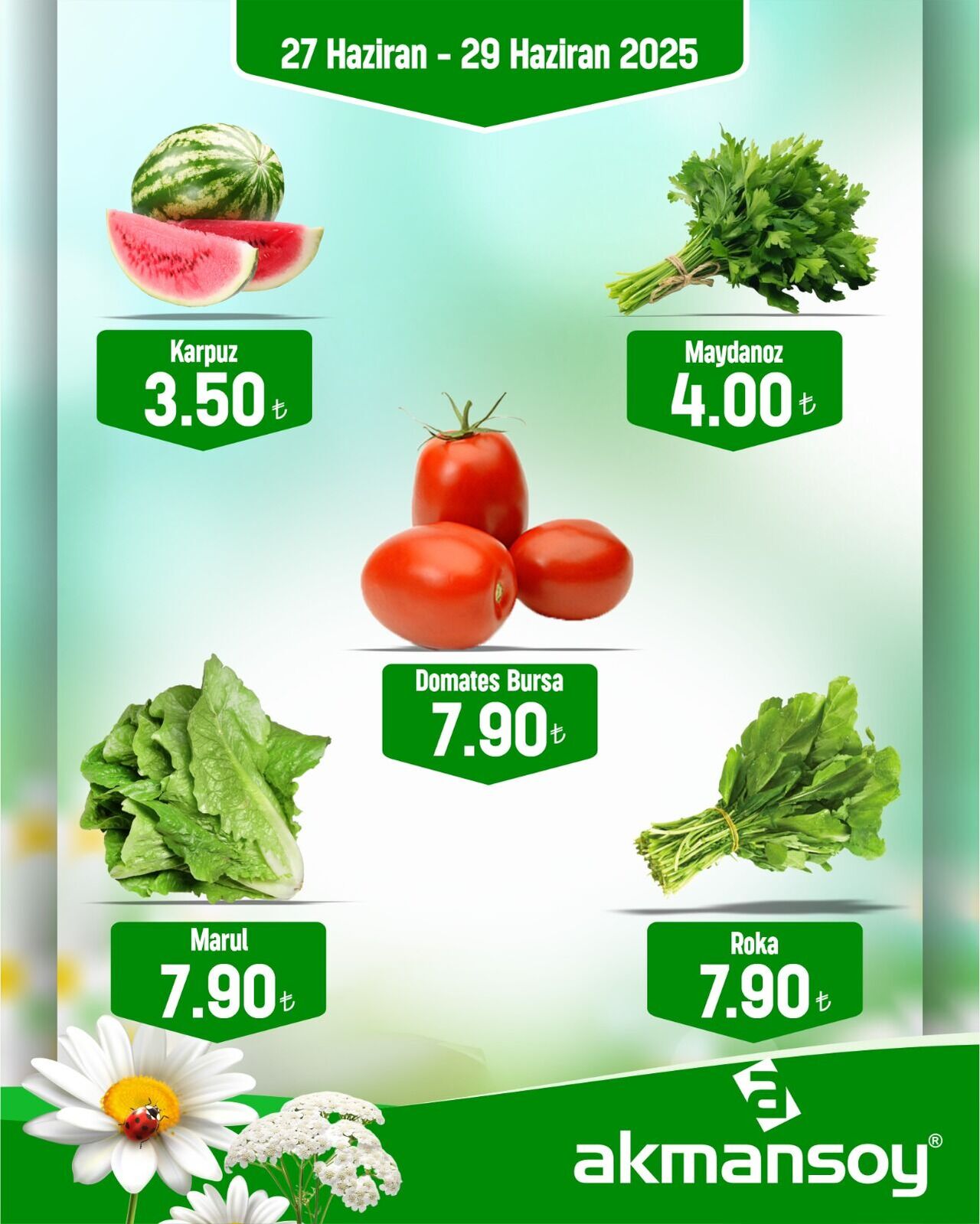 Gıda Ve Temizlikte Akmansoy Rüzgarı Bu İndirimler Kaçmaz! (11)