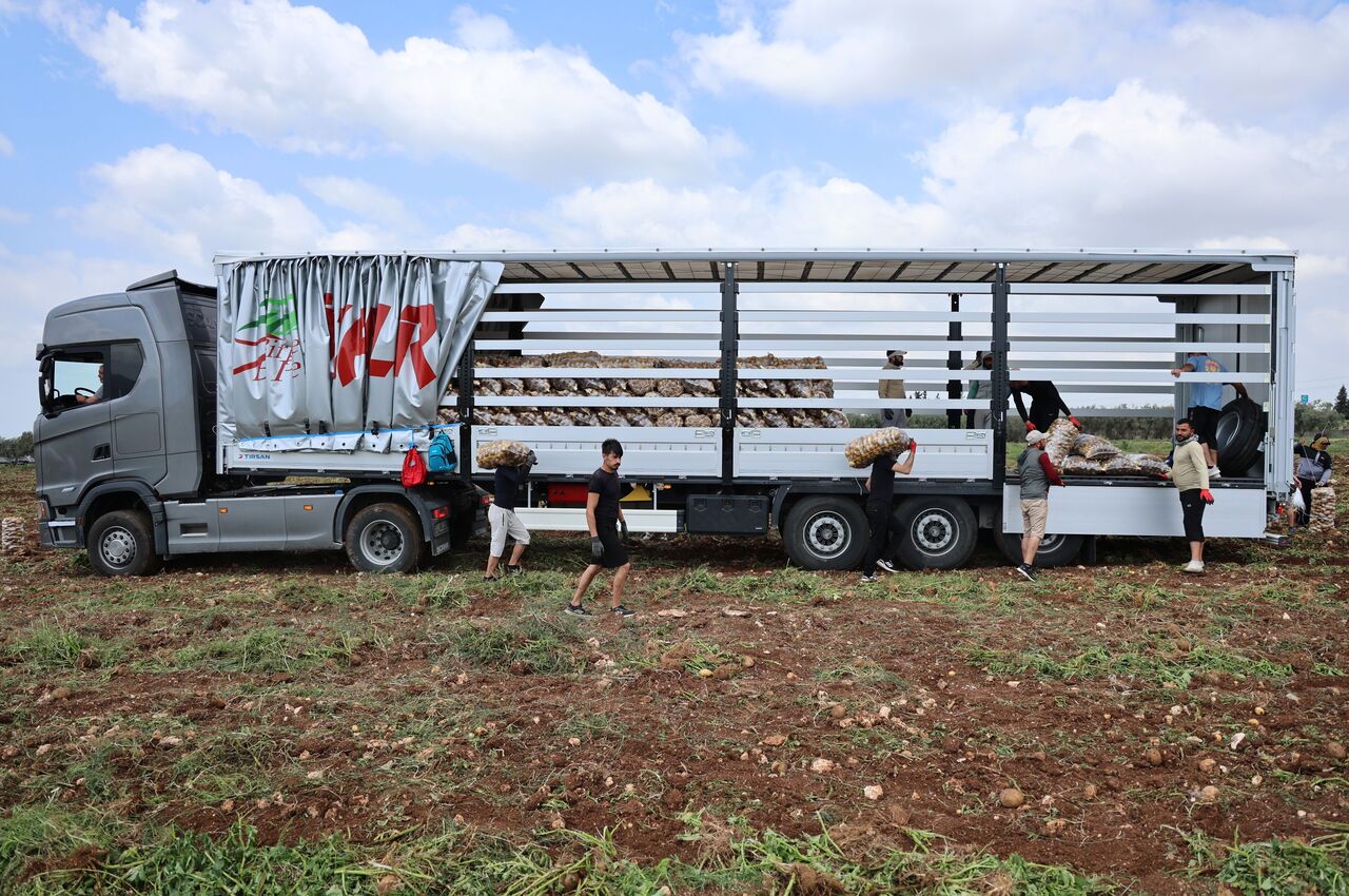 Günde Tonlarca Patates Yükleyip Servet Kazanıyorlar (3)