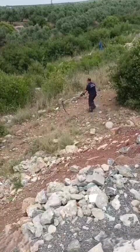 Hatay’da Kazan Dairesine Giren Yılan Paniğe Yol Açtı (3)