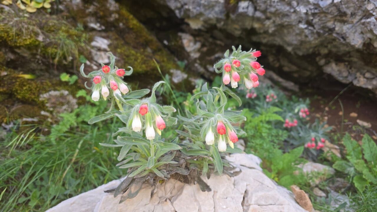 Kahramanmaraş Turizminde Yeni Dönem Başlıyor (5)