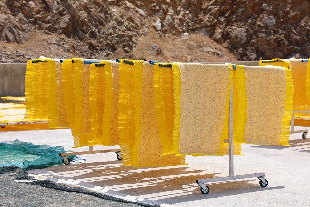 Kahramanmaraş’ın Tescilli Tarhanası Dünya Lezzet Haritasında Yerini Aldı (8)