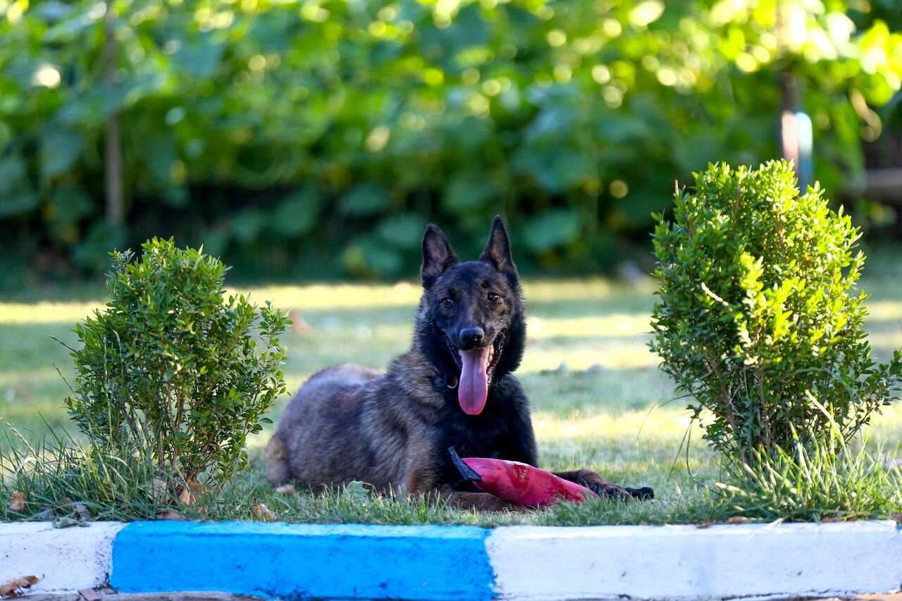 Kahramanmaraş’ın Yeni Kahramanı Şubaat Afetlerde Görev Alacak (12)