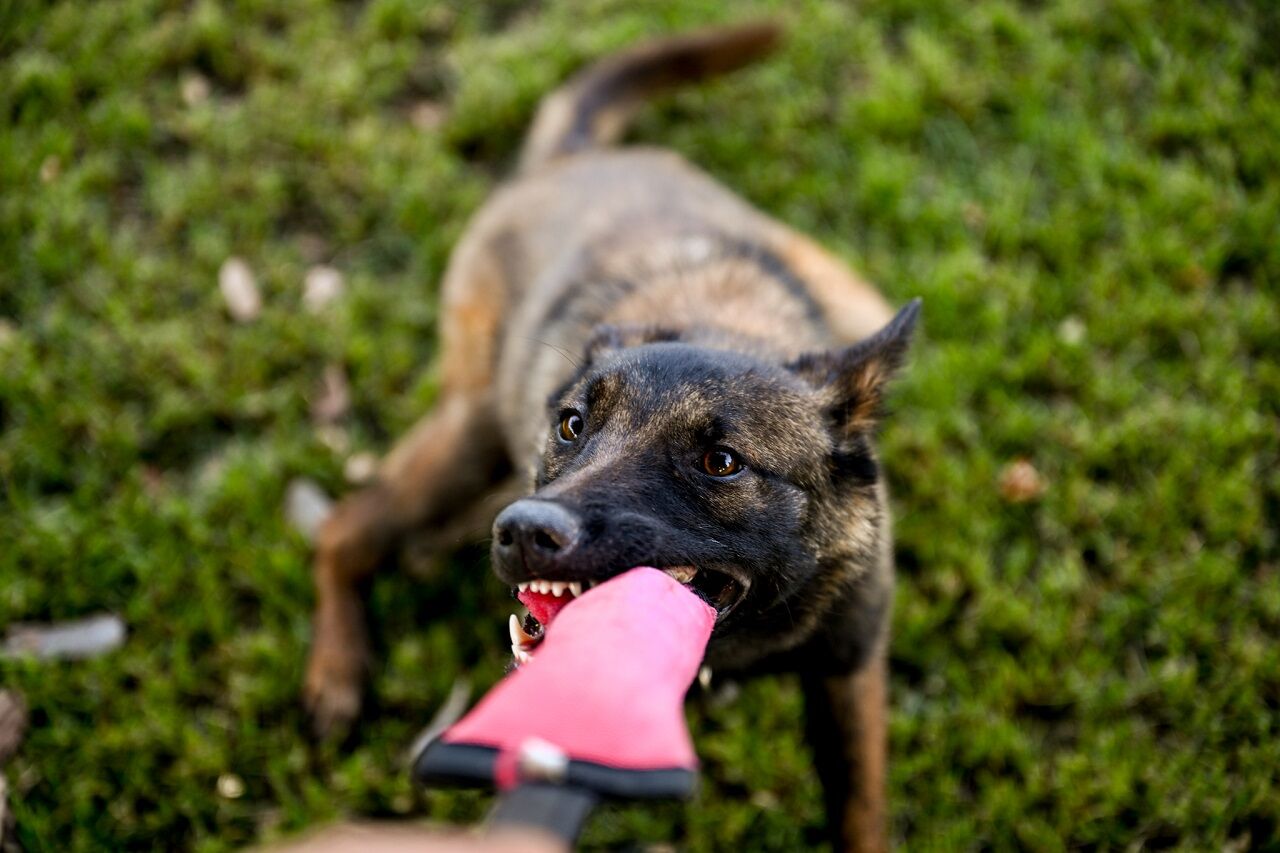Kahramanmaraş’ın Yeni Kahramanı Şubaat Afetlerde Görev Alacak (9)