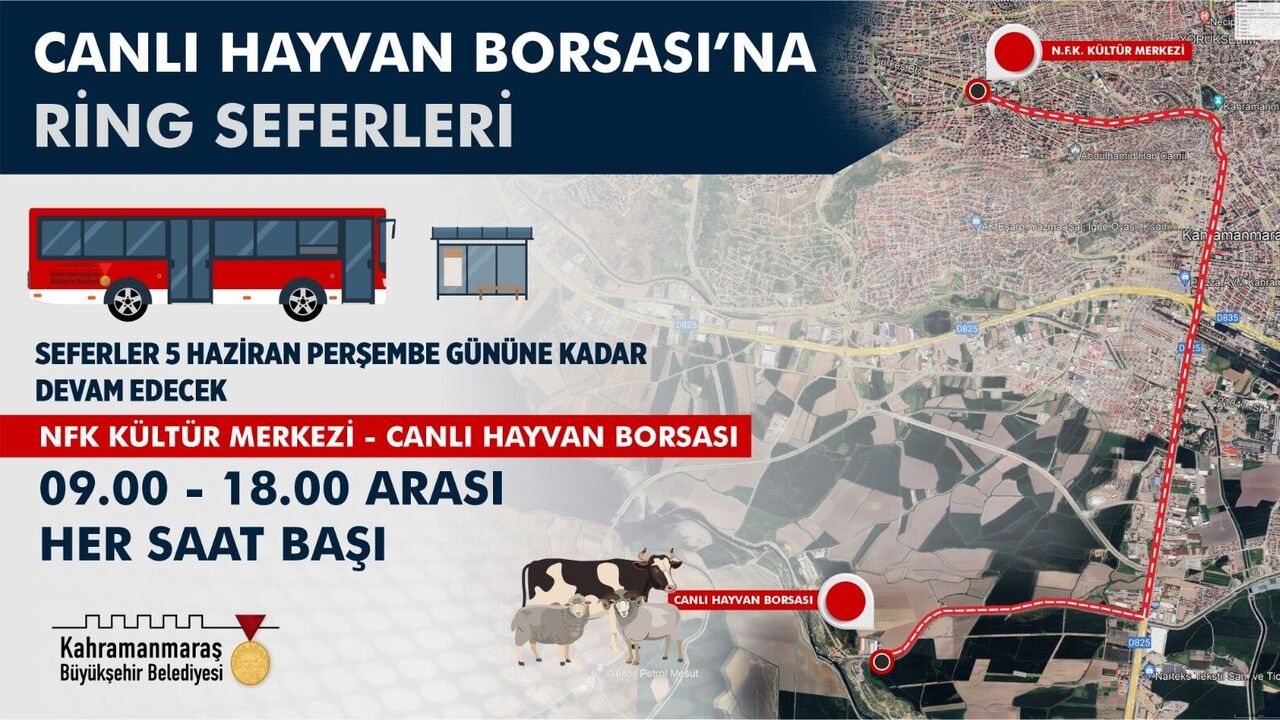 Kahramanmaraş'ta Canlı Hayvan Borsası'na Otobüs Seferleri Başladı (2)