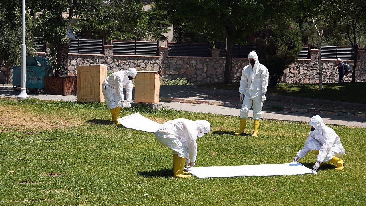 Kahramanmaraş’ta Kene Tehdidine Karşı Yoğun Mücadele (2)