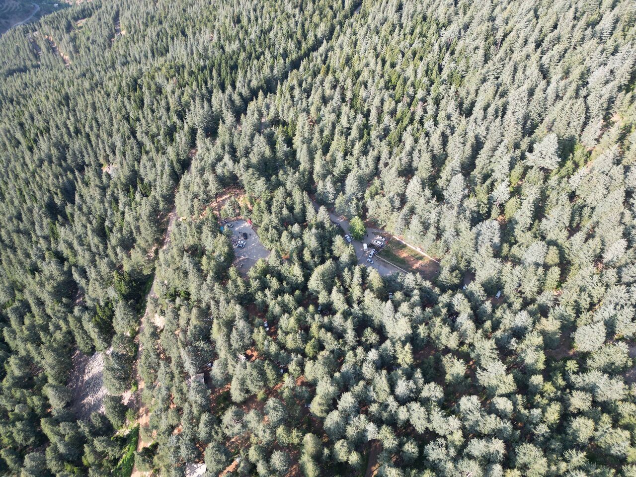 Kahramanmaraş’ta Yavşan Yaylası Bayramda Doğaseverlerin Akınına Uğradı (4)