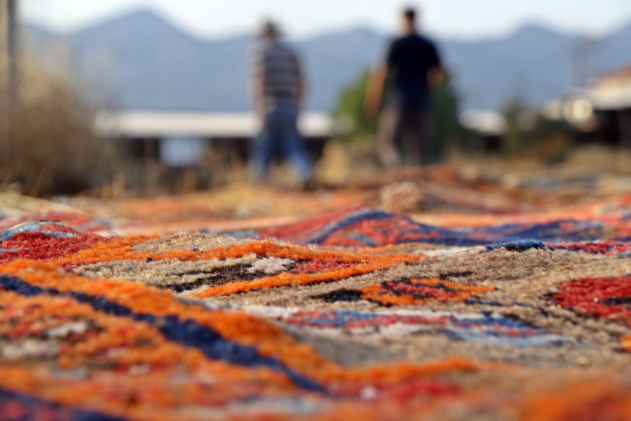 Milyonluk Halılar İçin Gece Gündüz Nöbet! Antalya'da Tarlalar Halı Bahçesine Dönüştü (2)