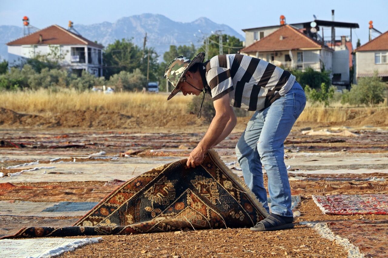 Milyonluk Halılar İçin Gece Gündüz Nöbet! Antalya'da Tarlalar Halı Bahçesine Dönüştü (3)