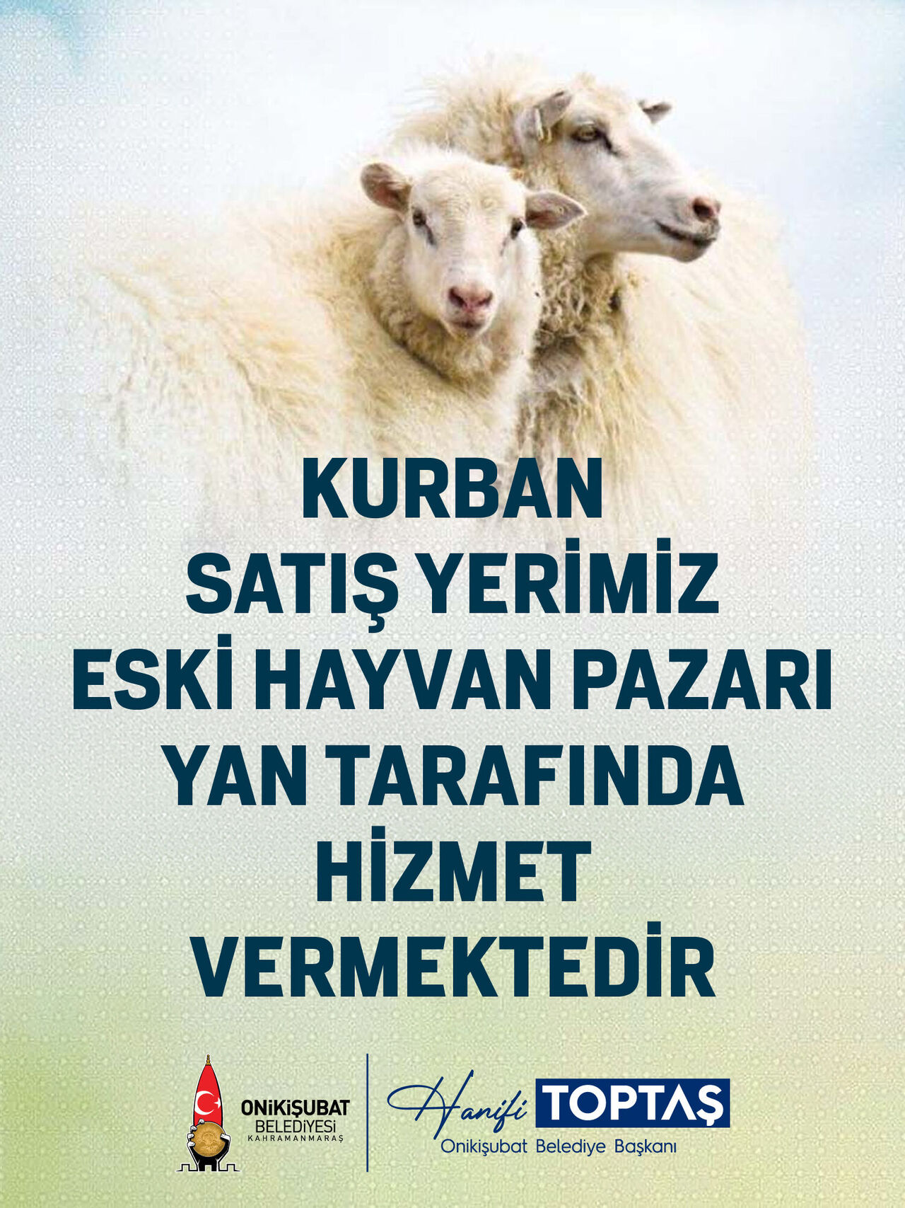 Onikişubat'ta Kurban Satış Ve Kesim Noktaları Belli Oldu (2)