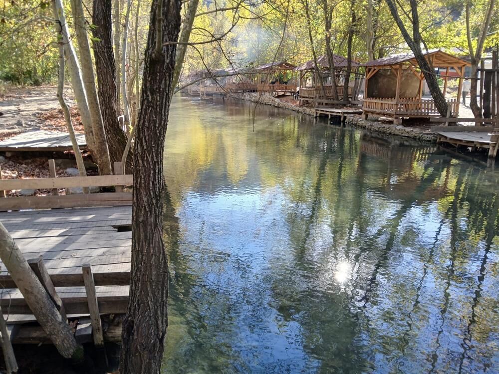 466909 Firniz Cayijpeg