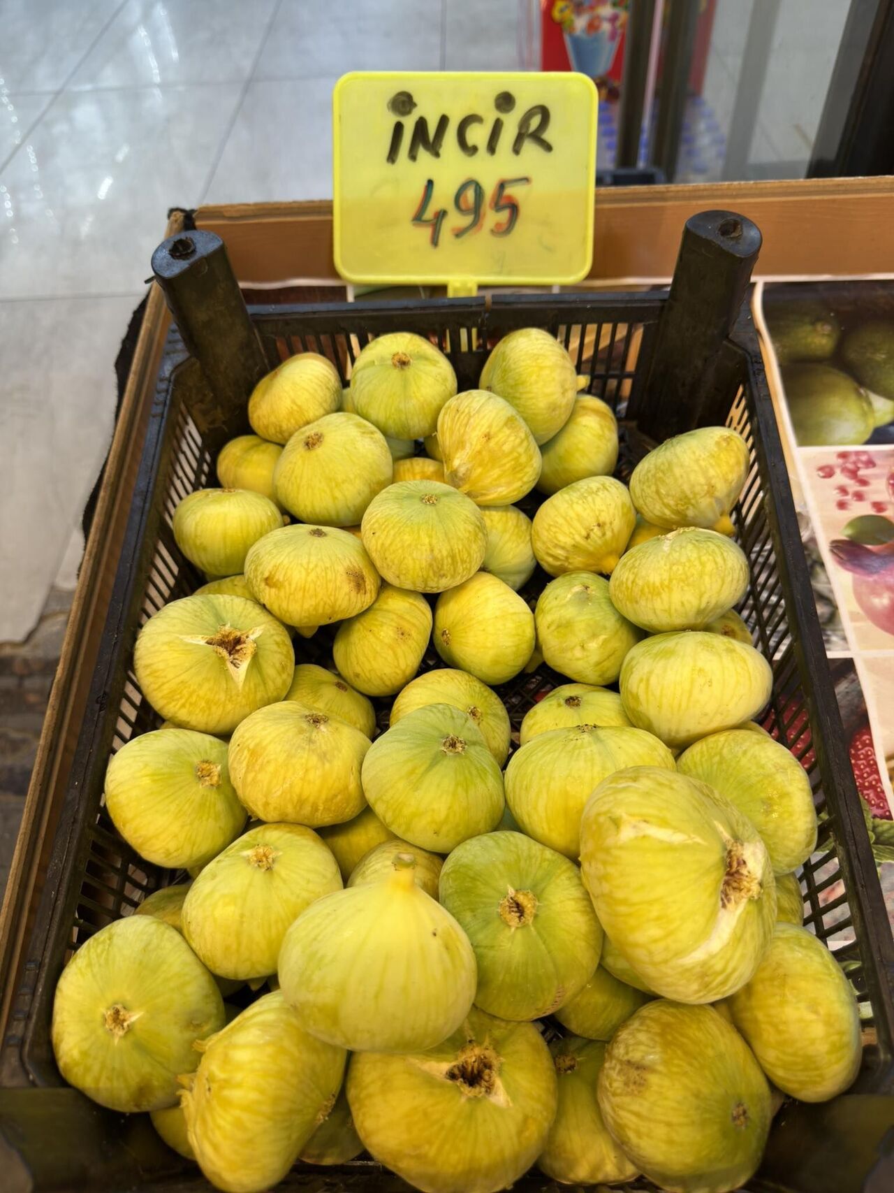 522656806 2704309093101833 7219119574346025355 N