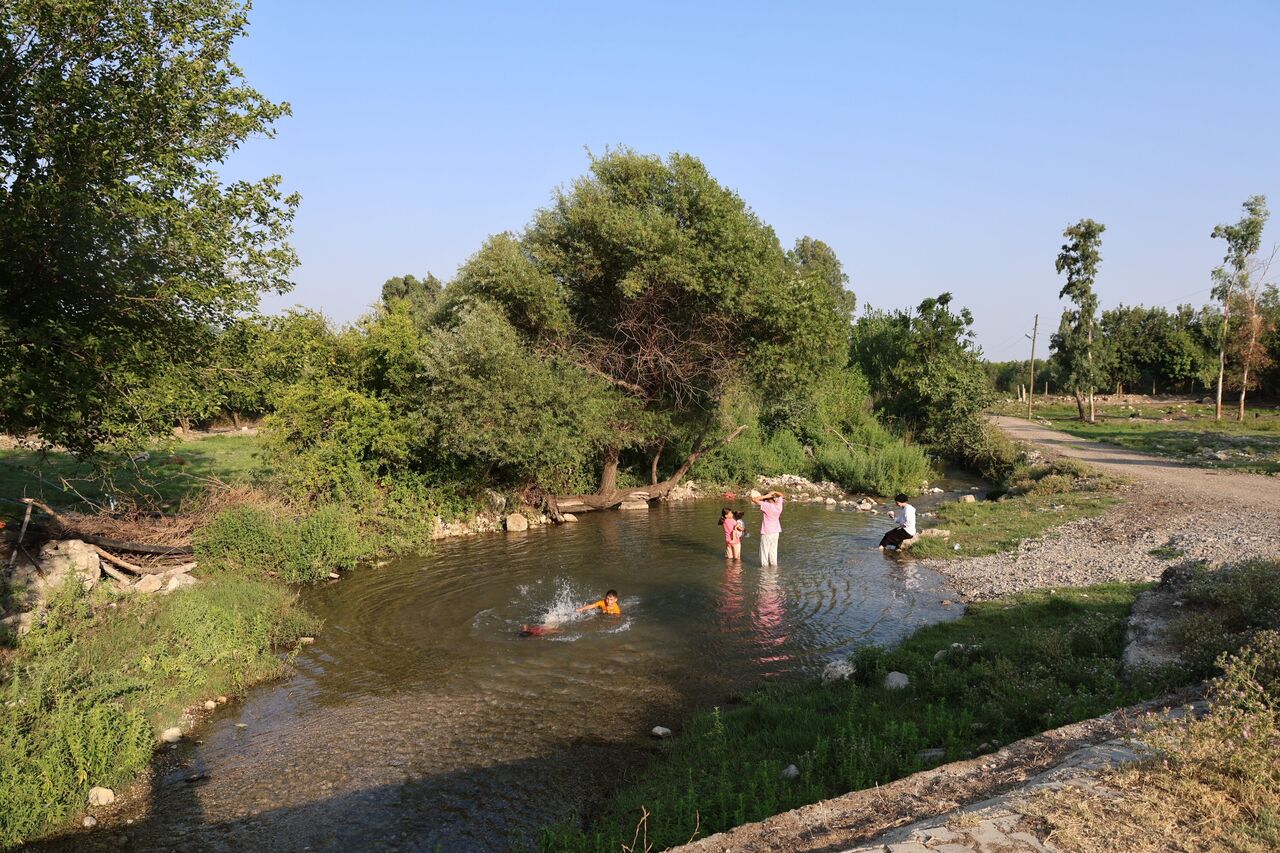 Adana’da 50 Derece Sıcakta Gençler Göletlerde Serinliyor (3)