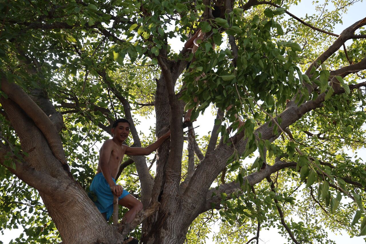 Adana’da 50 Derece Sıcakta Gençler Göletlerde Serinliyor (5)