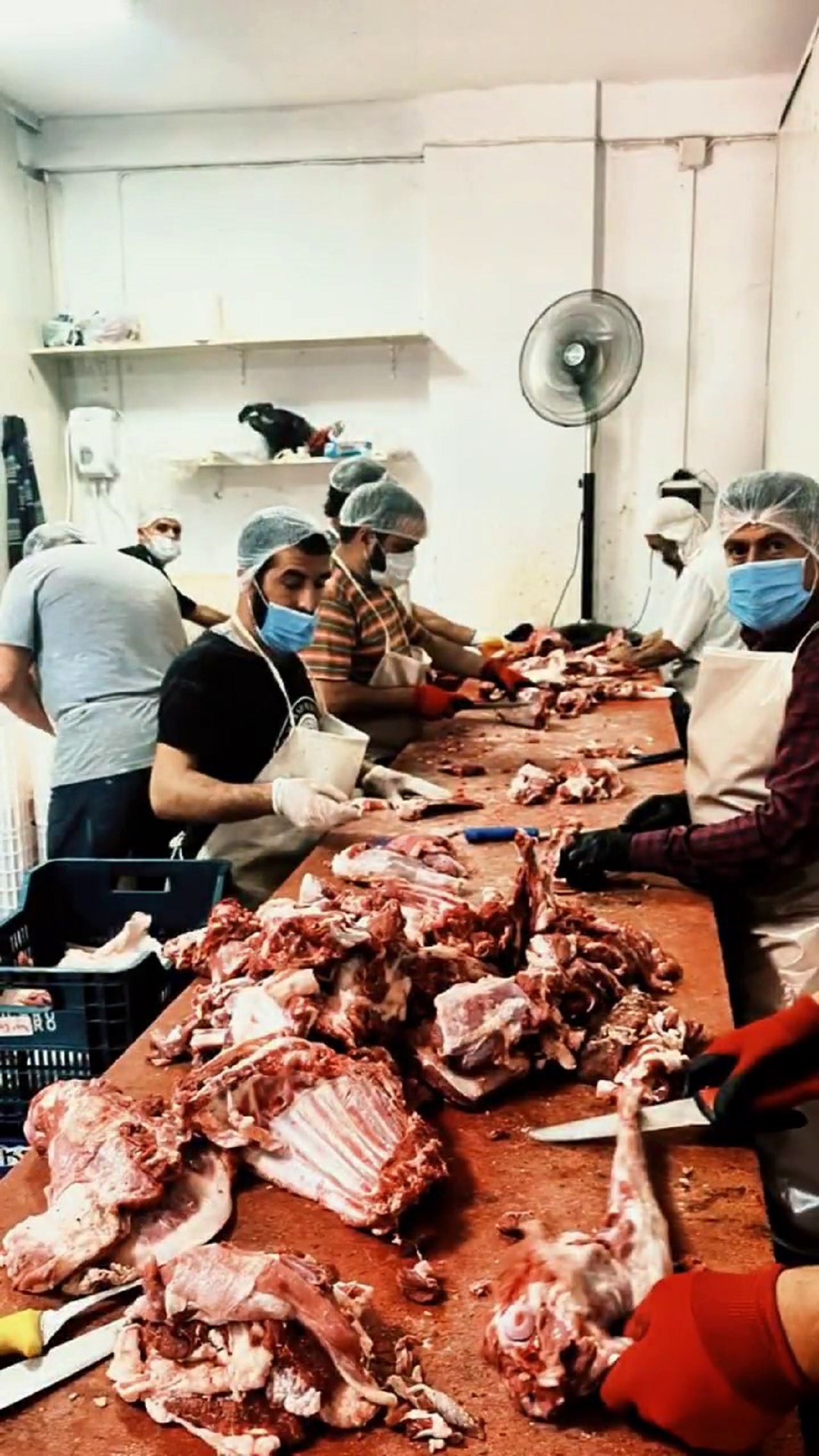Adana'da Binlerce Kilo Paça Ele Geçirildi (3)
