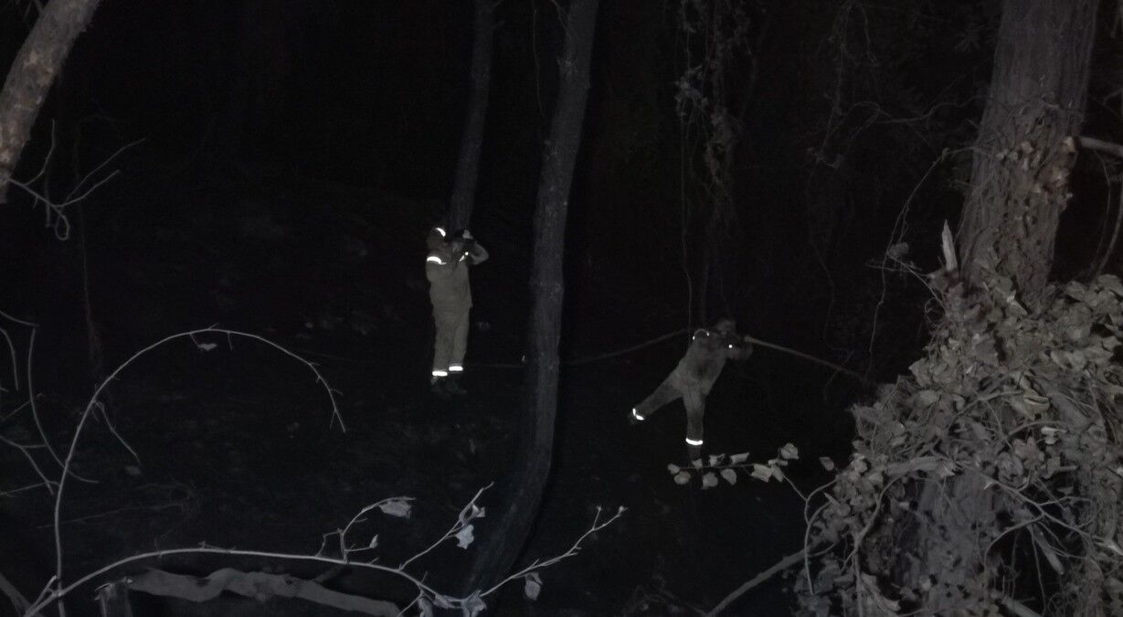 Alanya'da Orman Yangınında 3 Hektarlık Alan Zarar Gördü (2)