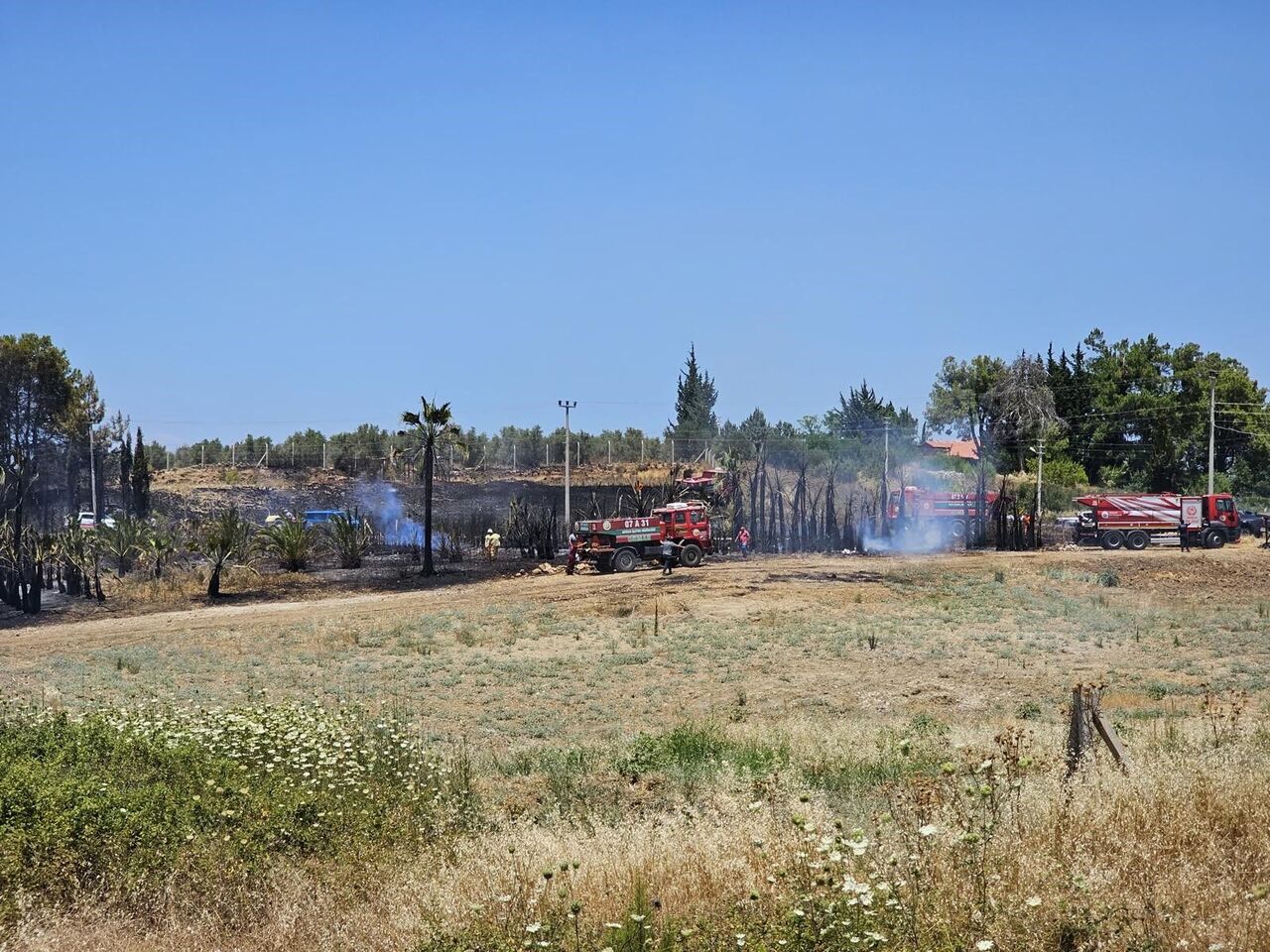 Antalya Aksu’da Yangın Ağaçlar Ve Seralar Zarar Gördü (8)