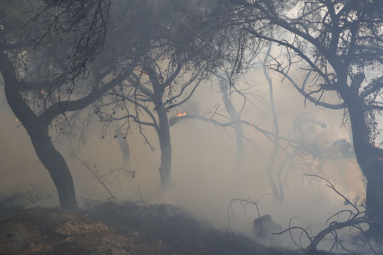 Antalya'da Orman Yangını Alevlerle Cansiparane Mücadele, Yangın Evlerin Eşiğinde Durduruldu (6)