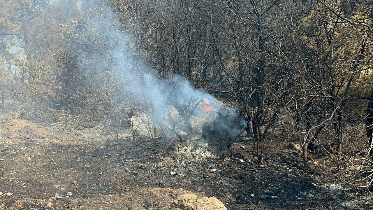 Antalya’da Orman Yangını Turizm Yolunu Kapattı Halk Kovalarla Seferber Oldu (3)