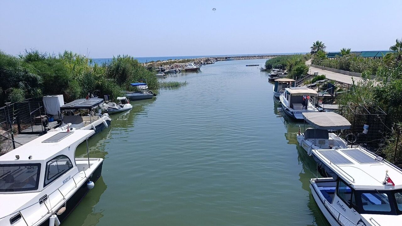 Antalya'da Saldırgan Nil Kaplumbağası Uyarısı (4)