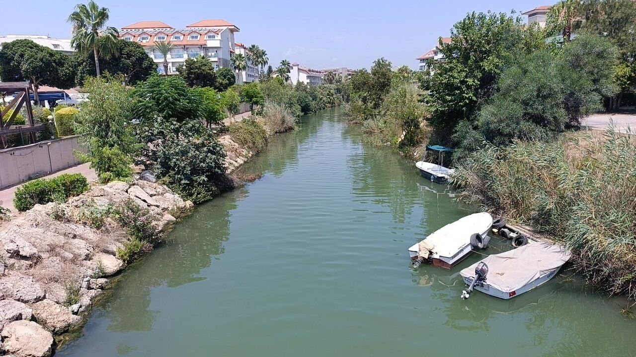 Antalya'da Saldırgan Nil Kaplumbağası Uyarısı (5)