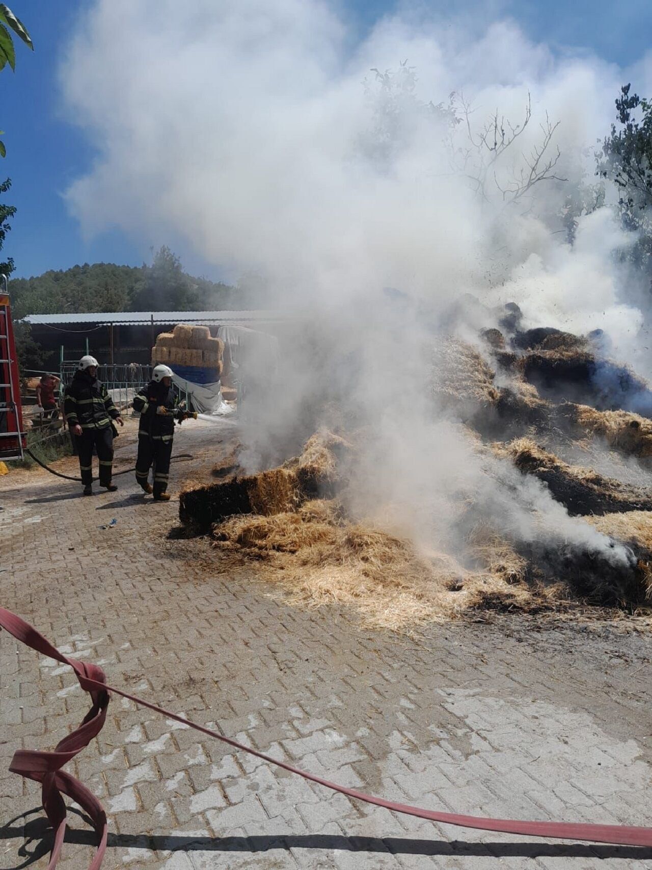 Burdur'da Çıkan Yangında 250 Saman Balyası Kül Oldu (2)