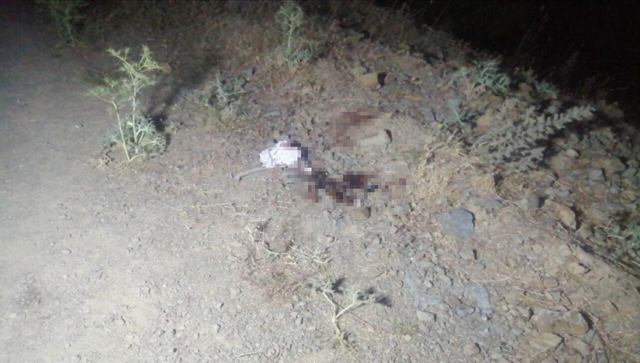 Çalıntı Araçla Kaçarken 'Dur' Ihtarına Uymadı, Jandarmaya Ateş Edip Kendini Vurdu (3)