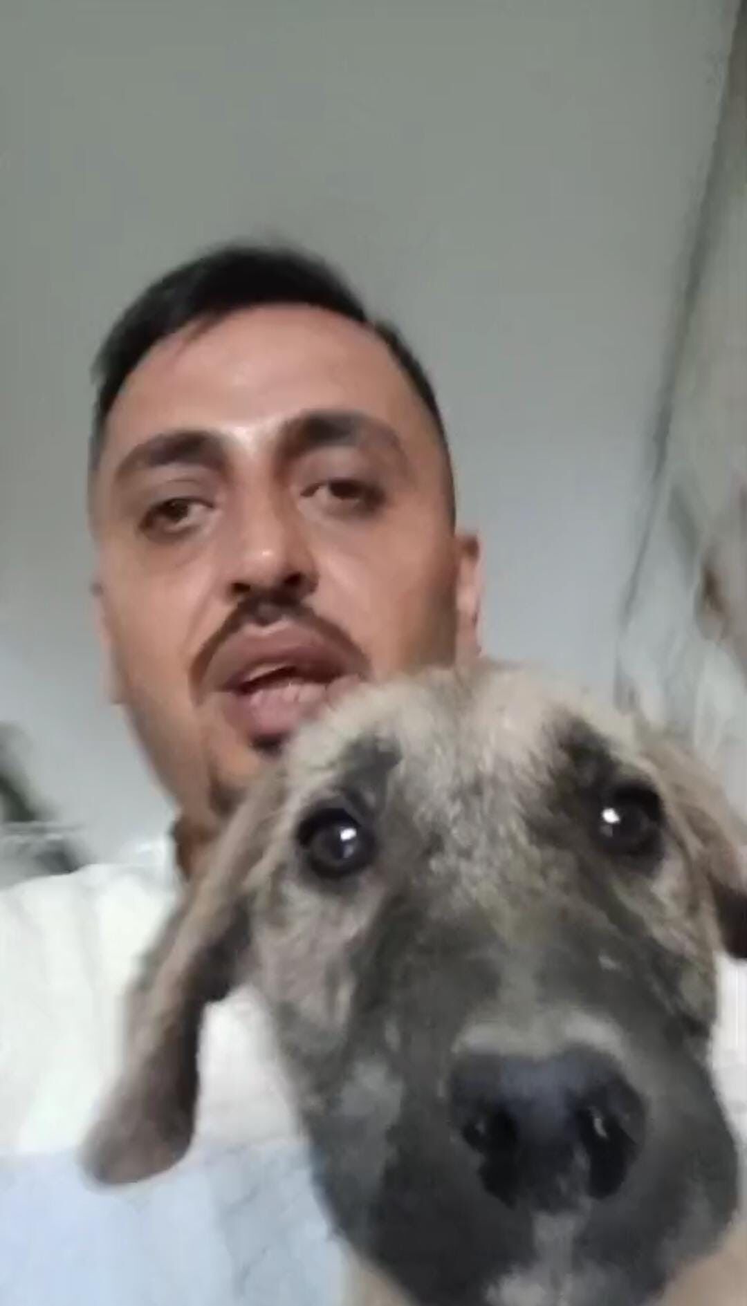 Canını Hiçe Sayıp Ağır Hasarlı Binaya Giren Vatandaşın, Yıkım Öncesi Yavru Köpeği Kurtardığı Anlar Kamerada (5)