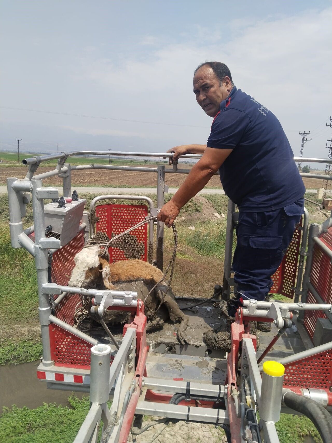 Derede Çamura Saplanan Koyunu Itfaiye Ekipleri Kurtardı (4)