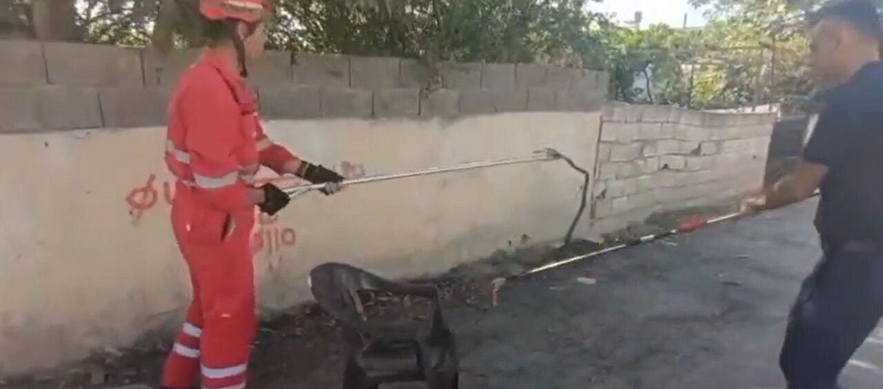 Evin Bahçesine Giren Yılanı Itfaiye Yakaladı (4)