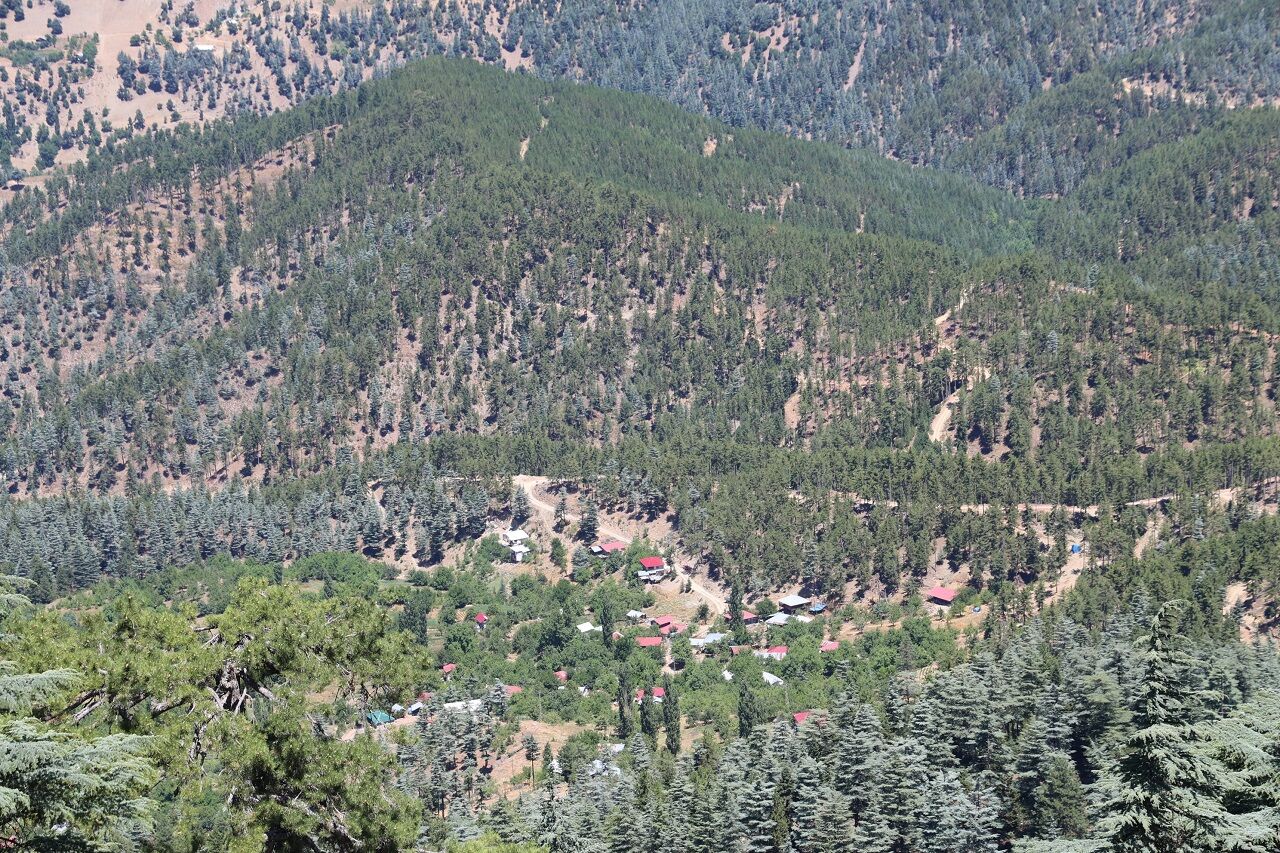 Feke'de Bin 700 Rakımda Yeşil Vatan Nöbeti (4)