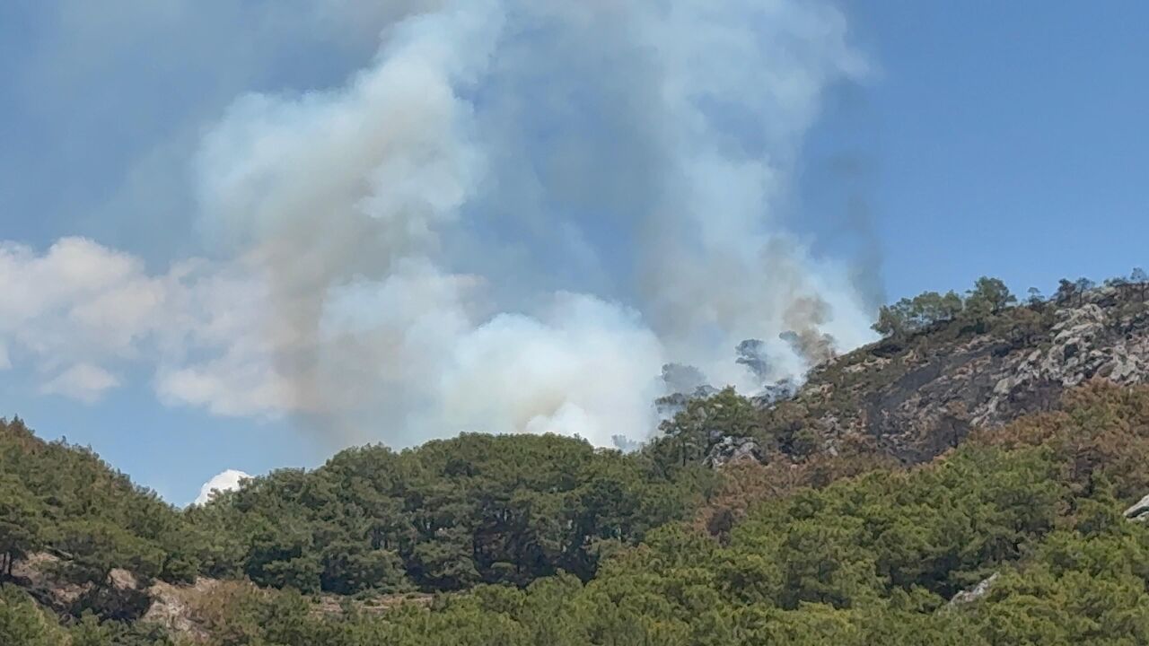 Gazipaşa Karadağ’da Yeniden Orman Yangını Çıktı (5)